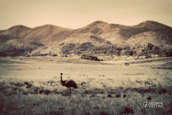 On the road to Arkaroola remote South Australia