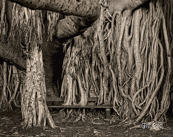 Natures inexorable march against man