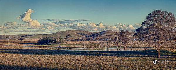 Glorious afternoon light filters across billabong