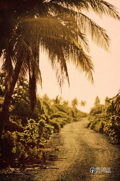 A winding road through one of Tahiti's countless beautiful islands
