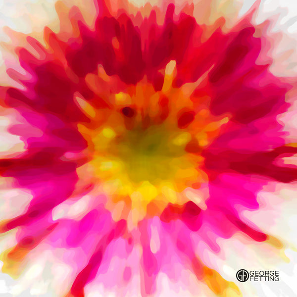 Pop art approach to this flower