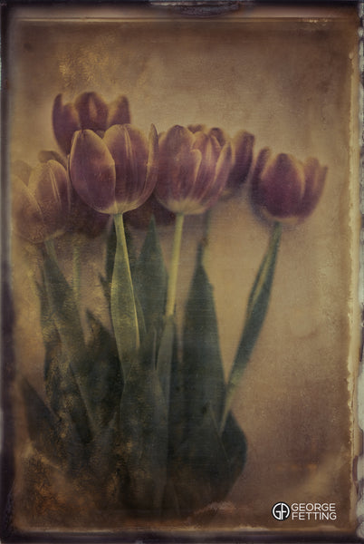 Vintage style plate glass photo